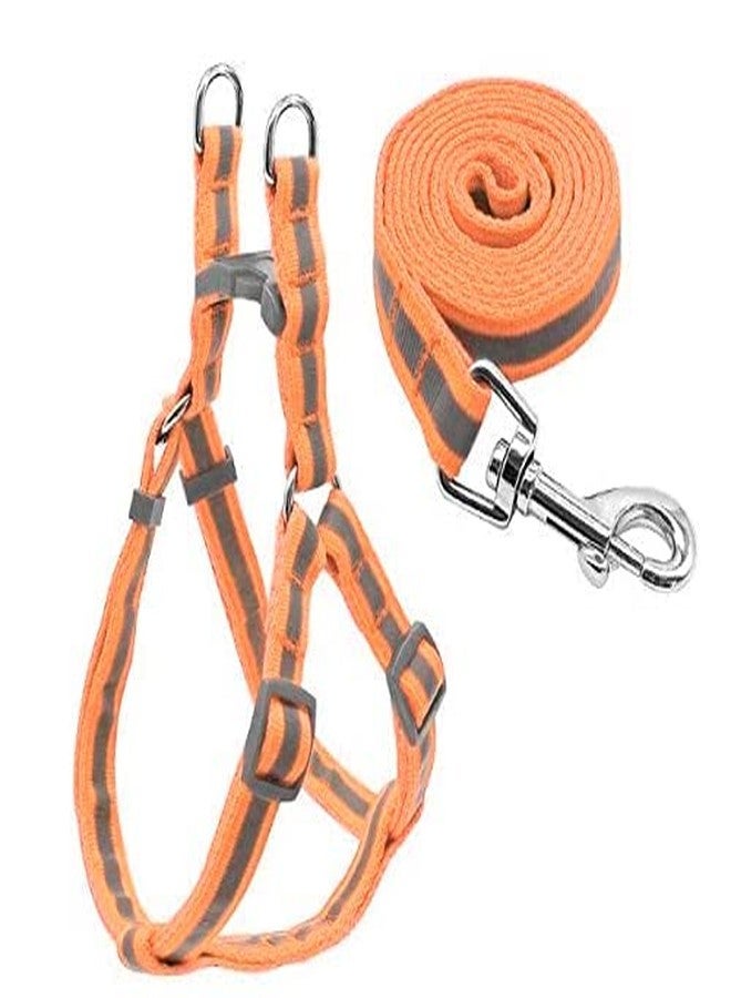 D&C PAWS Pet 15 MM Reflected Harness & Leash Set, Adjustable Soft Nylon Strip Radium Dog Harness & Leash Set for Puppies and Small Breed (Orange) Pack of 1 PC - Image 1